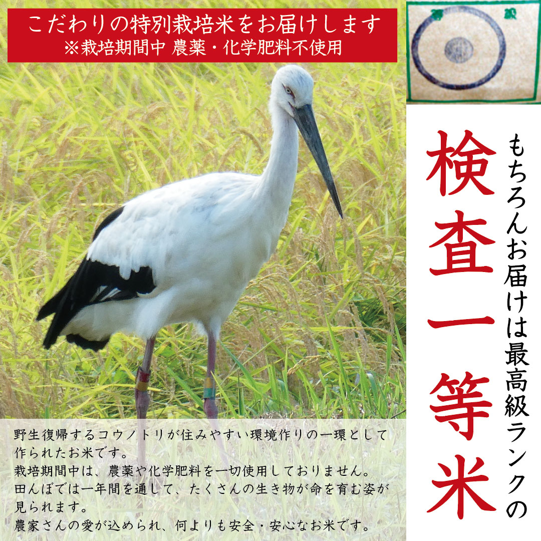 令和5年産】【送料無料】コウノトリ育むお米玄米30kg 【特別栽培米】 : kounotori-30 : お米の専門店 神蔵屋 YAHOO店 - 通販  - Yahoo!ショッピング