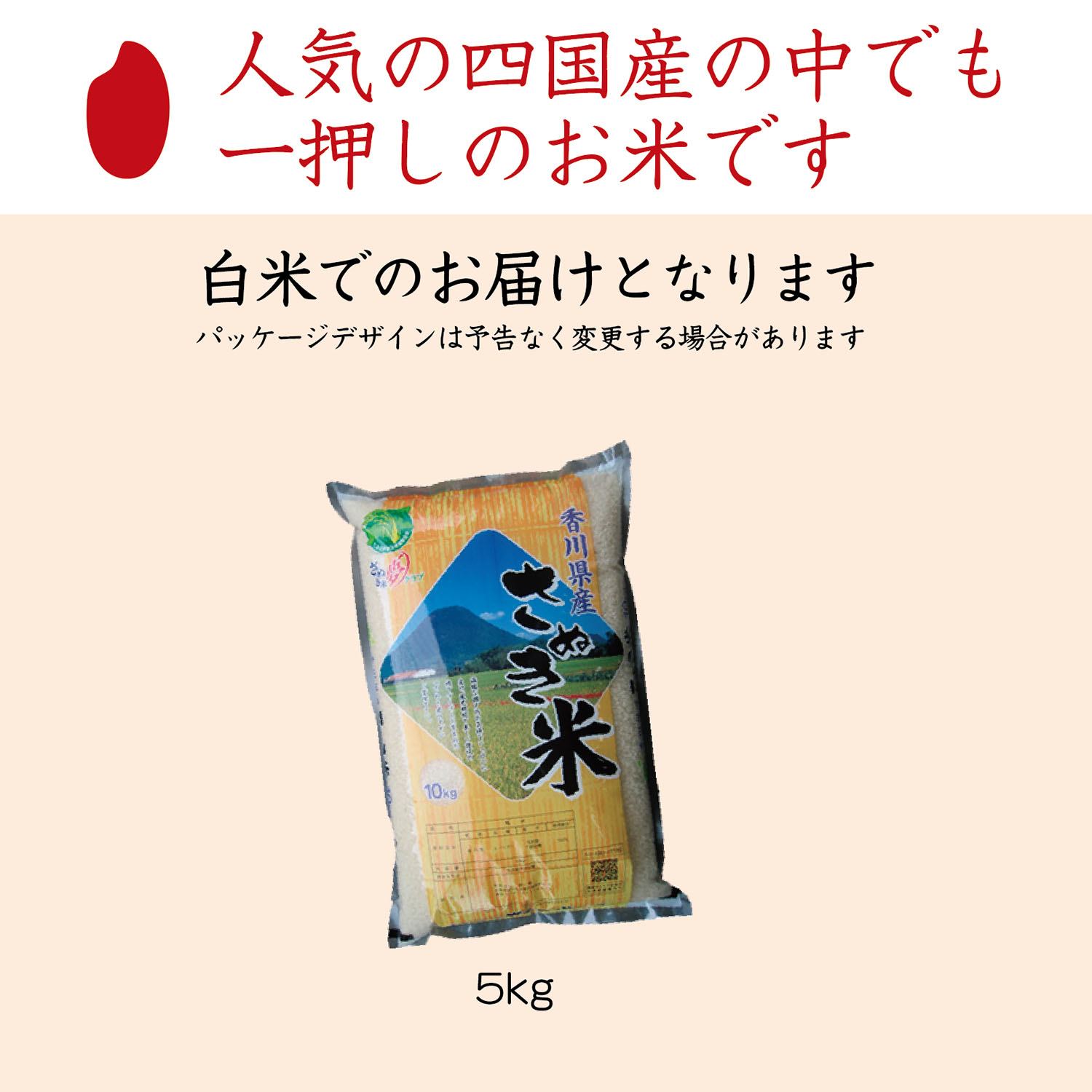 楽天市場】【令和6年産】【送料無料※一部商品除く】白米5kg