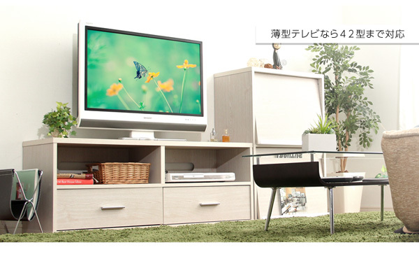 木目調 テレビ台/テレビボード 〔ホワイトオーク〕 幅120cm コンセント