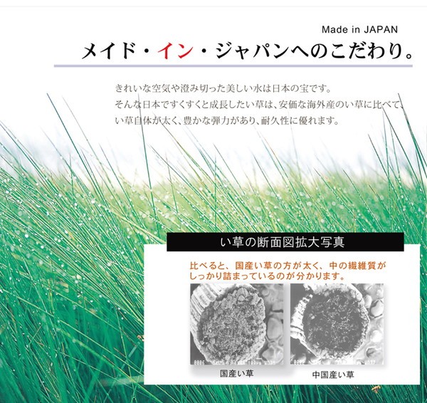 日本製 い草 ラグマット 〔オリエンタル柄 グリーン 約191×191cm