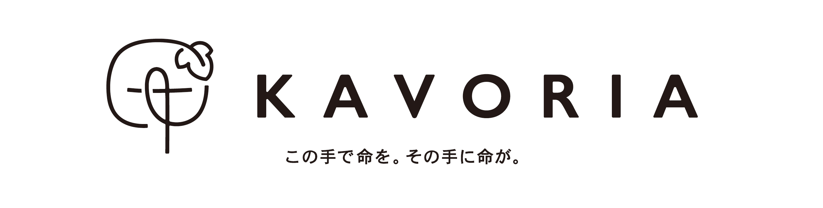 KAVORIA ヘッダー画像