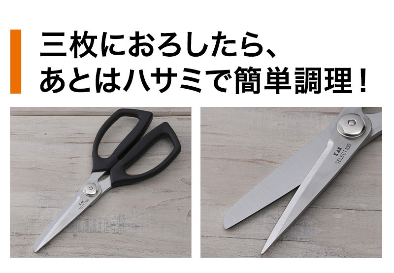 SELECT100 魚さばき グッズ 4点セット 釣り 魚調理 うろこ取り