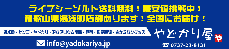 やどかり屋 ヘッダー画像