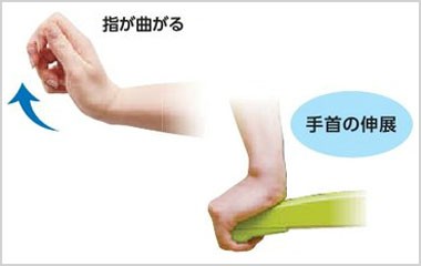 腱（けん）固定作用とは