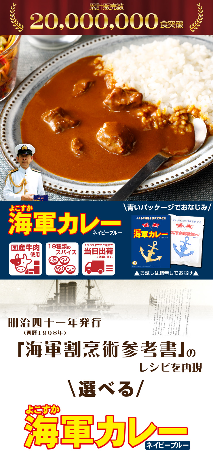 よこすか海軍カレーネイビーブルーお試し2食