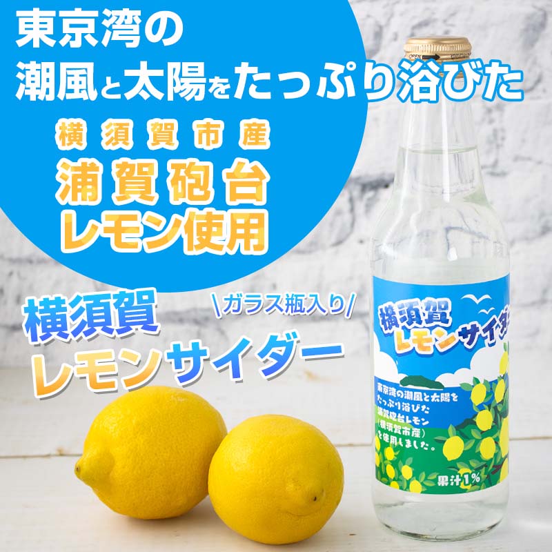 レモン　4枚 beans様専用】レモン44kg(1/2)