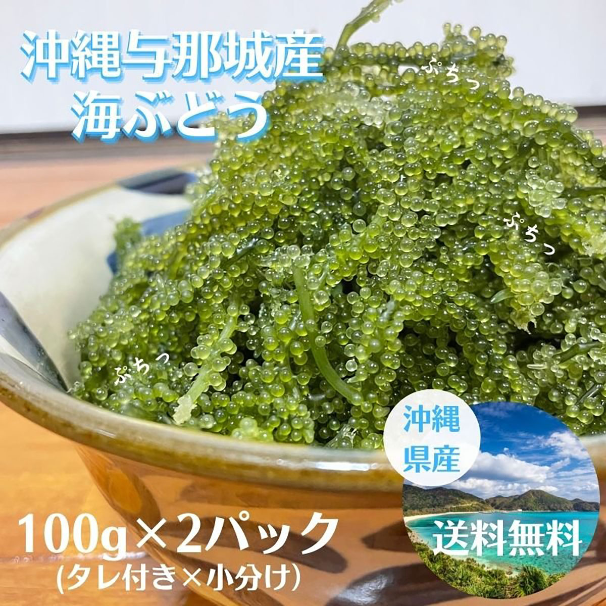 全てのアイテム 生海ぶどう 茎なしたっぷり400g タレ4p付き