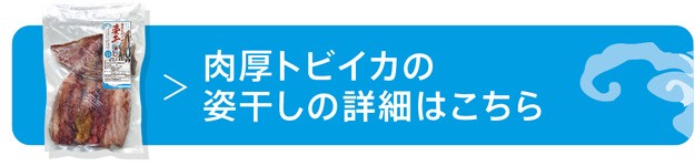 海市水産 - Yahoo!ショッピング