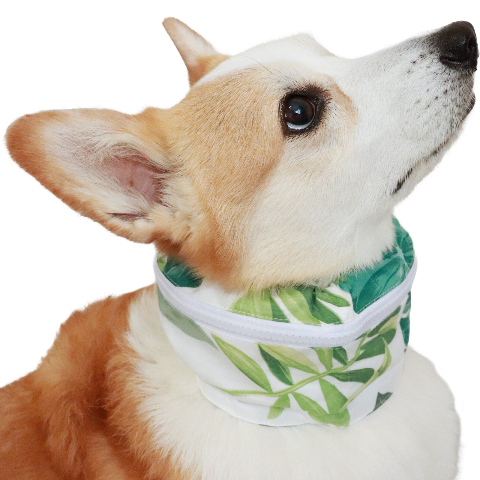犬 クールネック 保冷剤 付き 夏 暑さ対策 屋外 首 熱中症対策 ペット