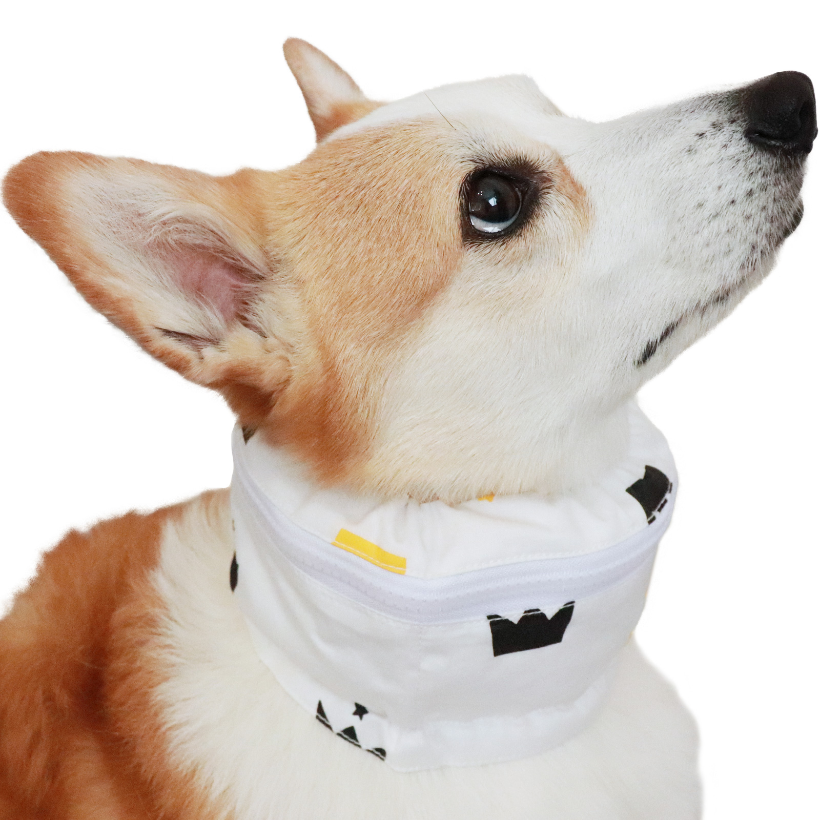 犬 クールネック 保冷剤 付き 夏 暑さ対策 屋外 首 熱中症対策 ペット
