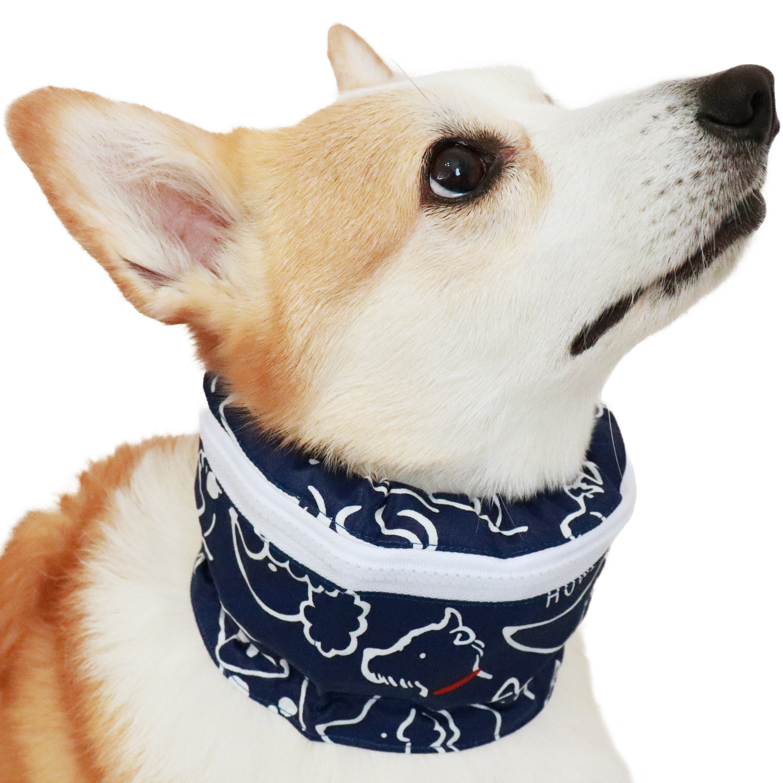 犬 クールネック 保冷剤 付き 夏 暑さ対策 屋外 首 熱中症対策 ペット