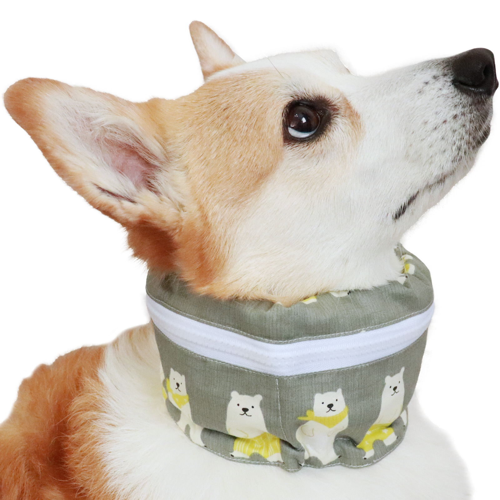 犬服・アクセサリー yang iDog 雪の妖精さん福袋 アイドッグ-犬猫用品通販 IDOG&ICAT|ペット 犬 服