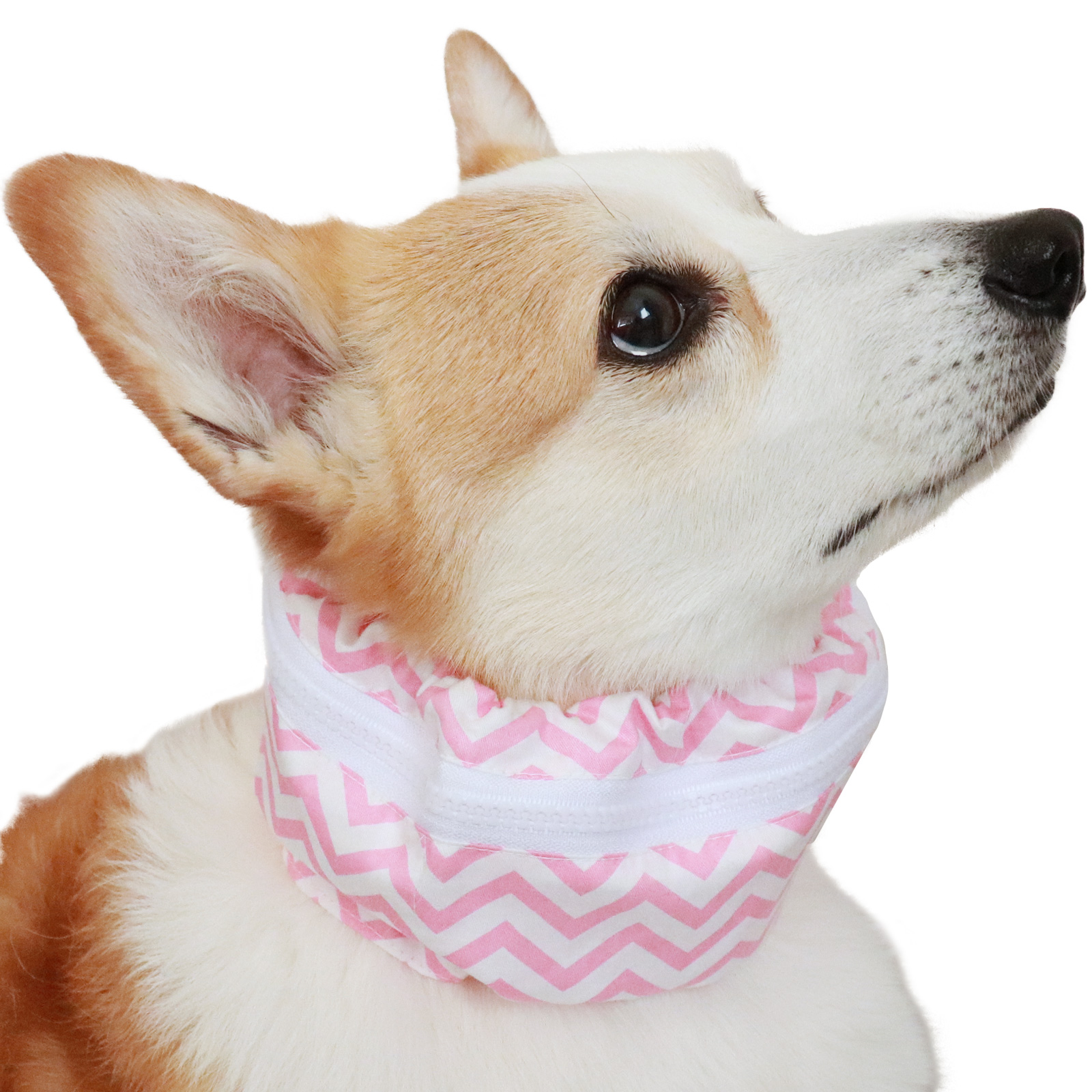 犬 クールネック 保冷剤 付き 夏 暑さ対策 屋外 首 熱中症対策 ペット