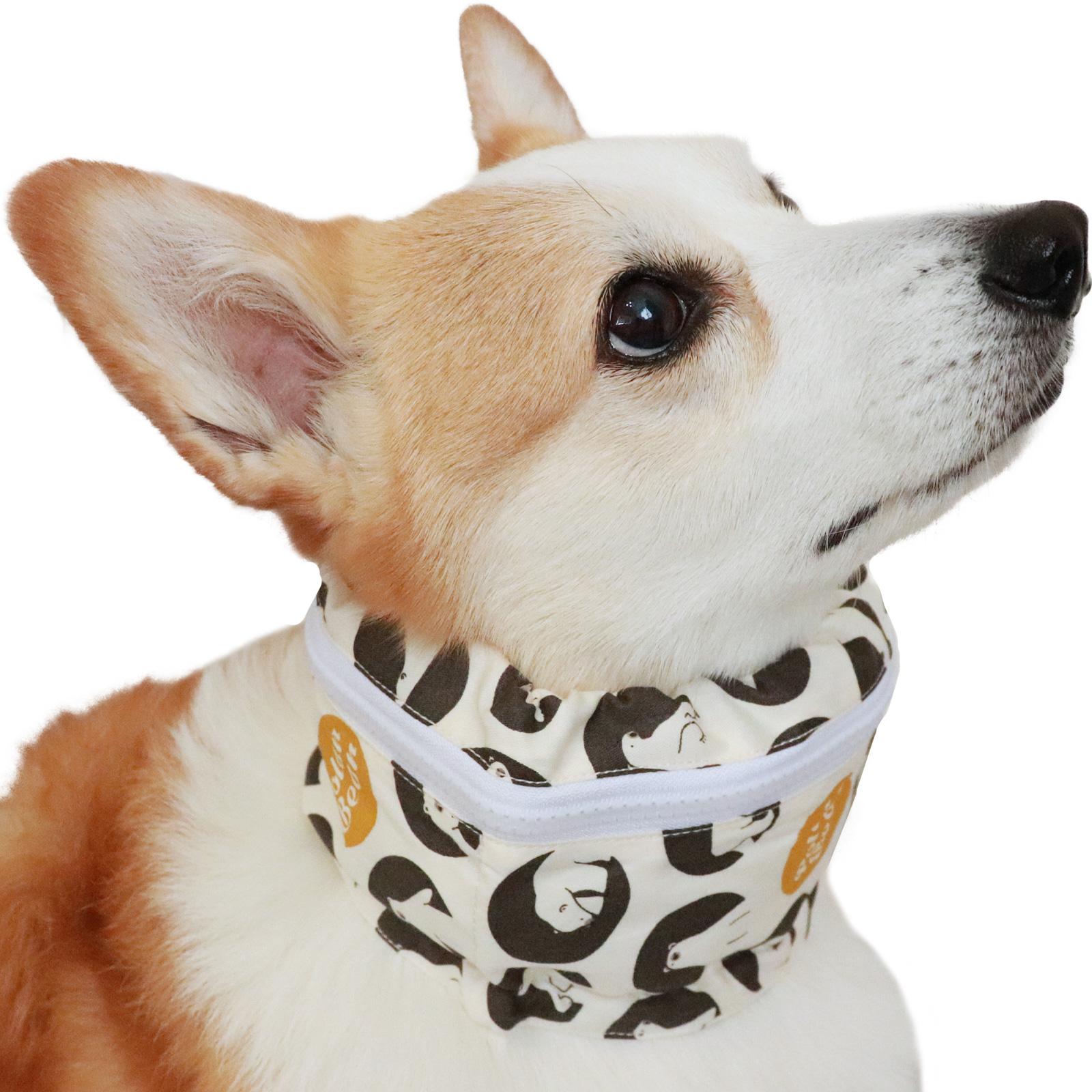 犬 クールネック 保冷剤 付き 夏 暑さ対策 屋外 首 熱中症対策 ペット