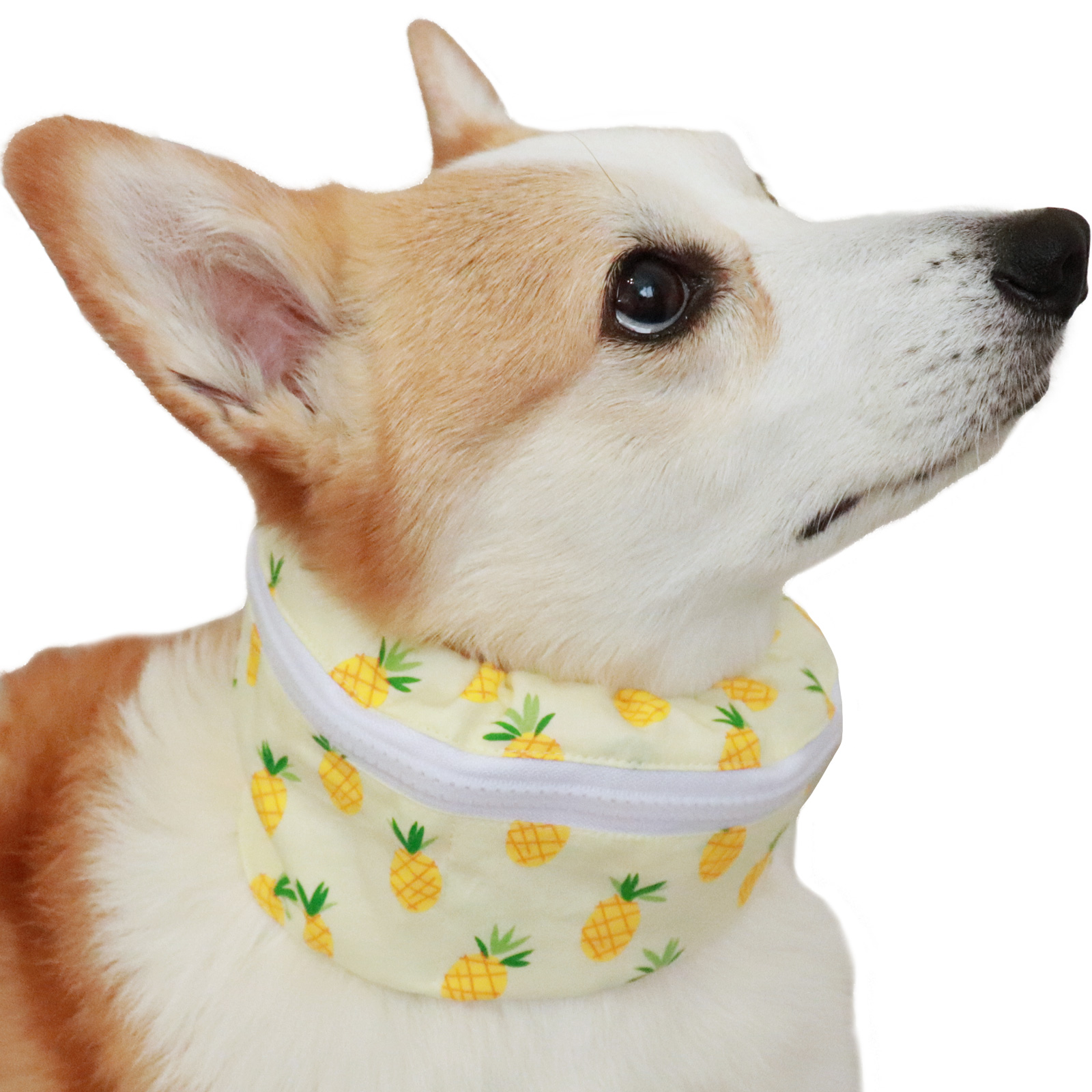 犬用クールネック　オーダーページ 犬 クールネック 保冷剤 付き 夏 暑さ対策 屋外 首 熱中症対策 ペット