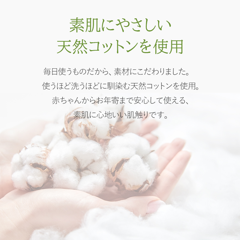 Phiten（ファイテン） 枕パッド 2枚セット 抗菌防臭 43×63cm