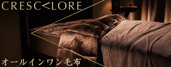 The PREMIUM Sofwool 掛け毛布 シングル プレミアム ソフゥール 毛布