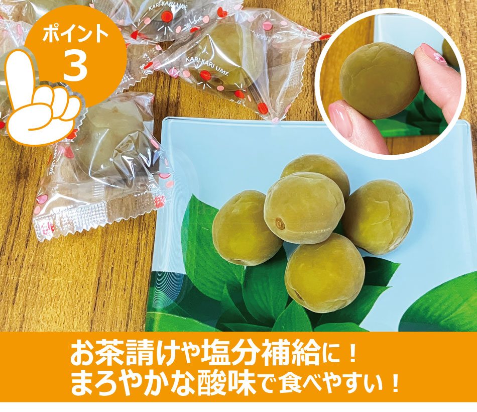 カリカリ梅さま宛】おまけ付属品 確認用