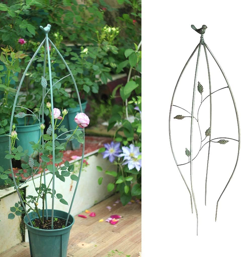 朝顔栽培セット（園芸用品） | 花、ガーデニング のおすすめ人気商品