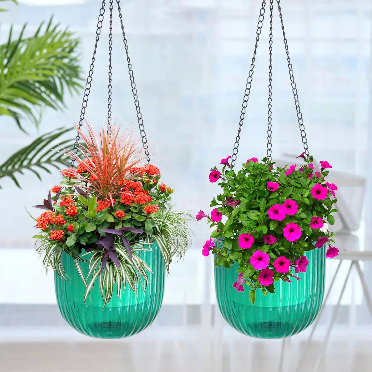 やきものHACCHI 多肉鉢 どうぶつ鉢 新品未使用品｜2026年最新】アニマル