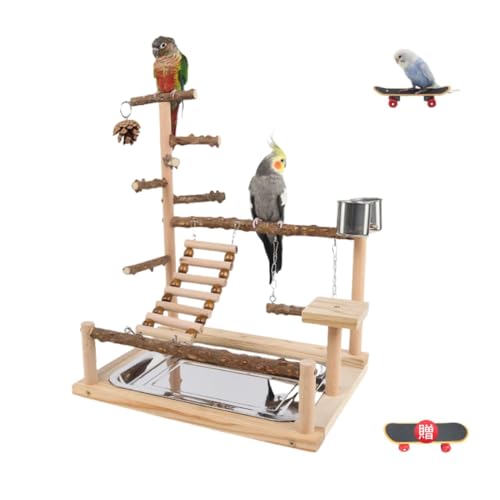 インコ 止まり木 スタンド（鳥かごスタンド）｜鳥用品 | ペット