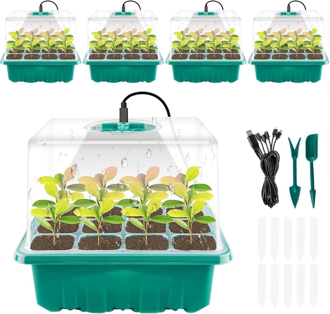 販売停止中 カラスビシャク ポット苗 販売停止中 カラスビシャク