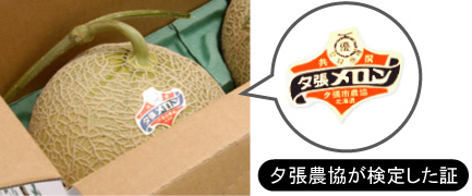 D 316 送料無料 完全新鮮宣言 夕張メロン 共撰品 優 １箱２ ４玉入り Dallasreceiver Com