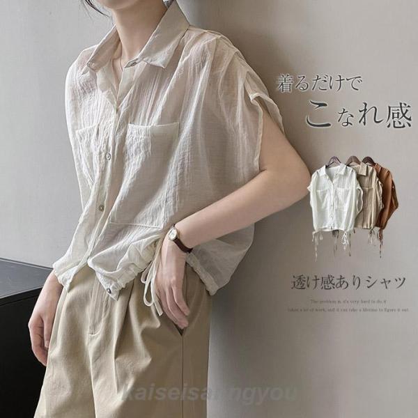 Tシャツ レディース 半袖 パフスリーブ プリーツ ブラウス フリル襟 春 夏 秋 トップス 無地 薄手 ドルマン ブラウス 半袖 Tシャツ Aライン フェミニン 着回し 楽天市場】Tシャツ レディース 半袖 パフスリーブ プリーツ