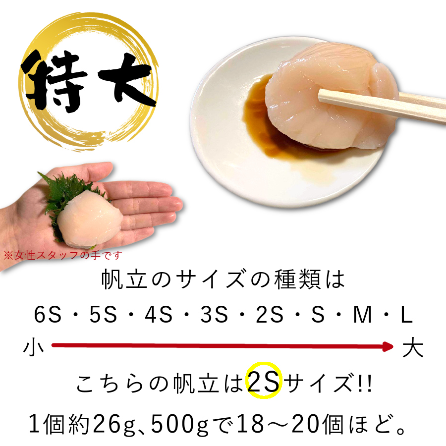 ホタテ貝柱 ＆ ボタンエビセット 各500g 送料無料 食べ比べ
