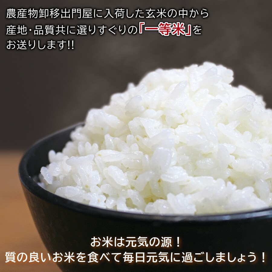 ななつぼし 精米 820g 約5合分 令和5年産 2023 精白米 お試し 北海道産