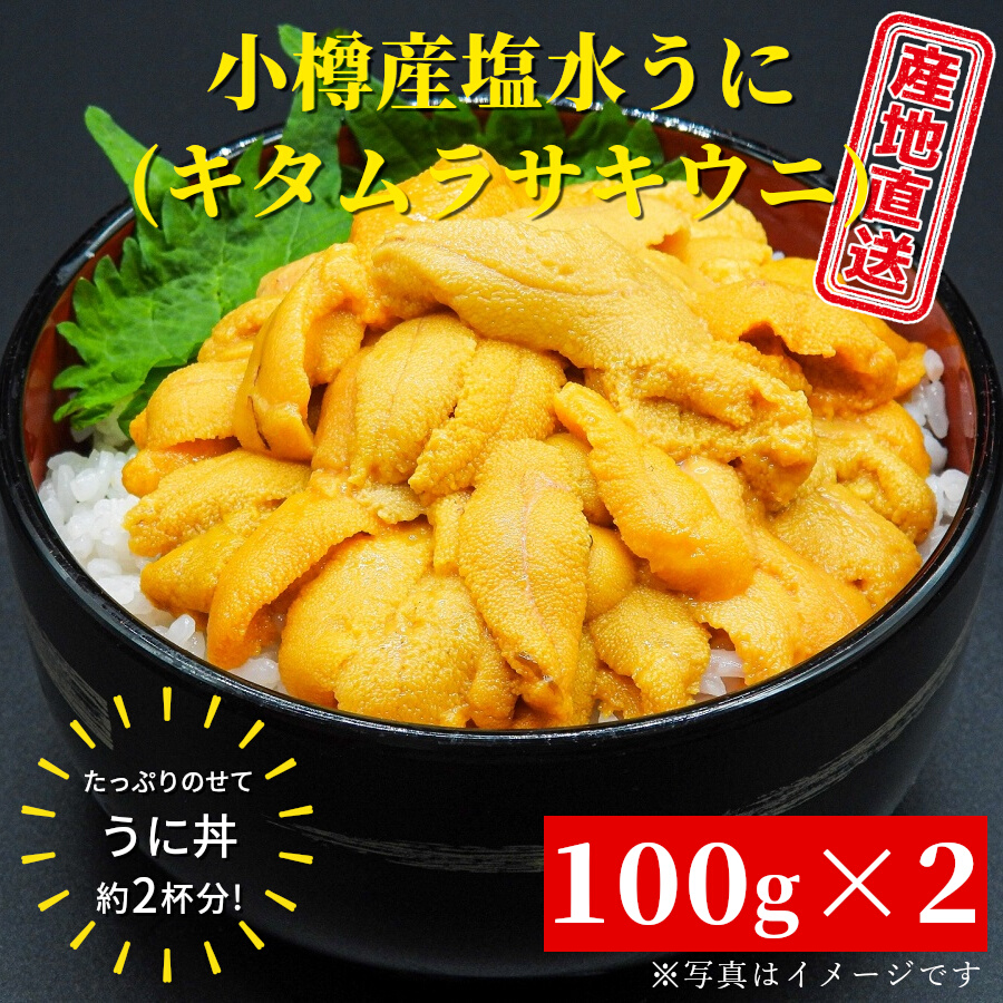 （日付指定不可） 小樽産 塩水うに 100g 2個セット 白ウニ 期間限定 送料無料 キタムラサキウニ 無添加 雲丹 小樽ブランド ミョウバン不使用  冷蔵便