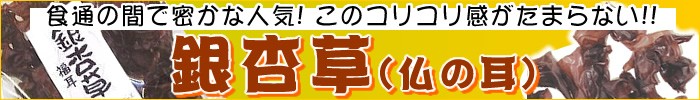 銀杏草