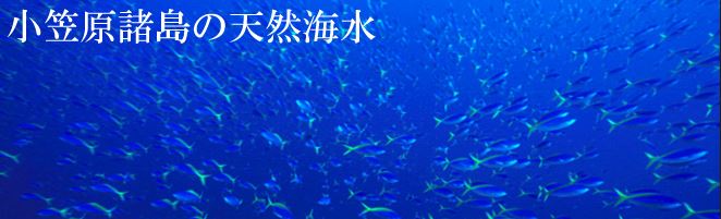 小笠原諸島の天然海水 ヘッダー画像