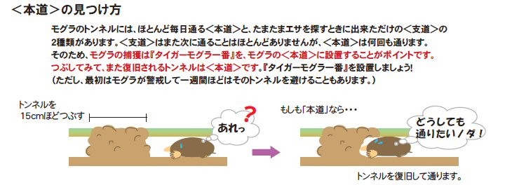 モグラ一番 2セット入 畑のモグラ対策に 土竜捕獲器 快適クラブ ｎｅｔ 通販 Yahoo ショッピング