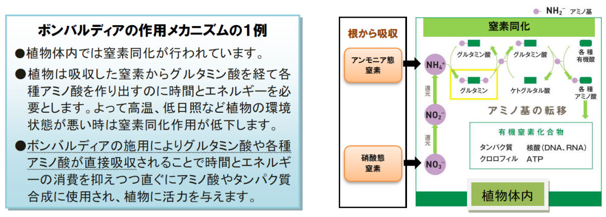 株式会社 ハイポネックスジャパン ボンバルディア