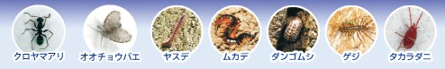 三井化学クロップ＆ライフソリューション株式会社 バーミレス乳剤