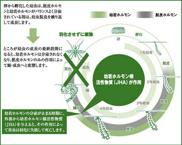 アース製薬株式会社　スミラブ発泡錠EL