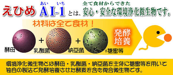 排水口 配管のにおい 詰まり ヌメリ取り えひめAI-1 K 1L×2本 安心 安全 :2002000020075:快適クラブ.ｎｅｔ - 通販 -  Yahoo!ショッピング