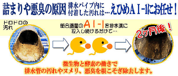 排水口 配管のにおい 詰まり ヌメリ取り えひめAI-1 K 1L×2本 安心 安全 :2002000020075:快適クラブ.ｎｅｔ - 通販 -  Yahoo!ショッピング