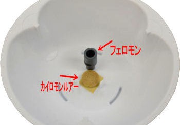 調査用 ドームトラップ・タバコ用取り替え用フェロモン