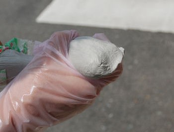 日東化成工業株式会社 キクネンB-7V