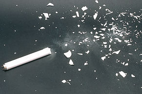 飛散防止蛍光灯