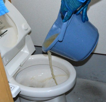 ビーナスフェーバーTYPE　4