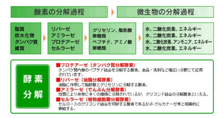 株式会社ヴェルト えひめAI-1 あいいち