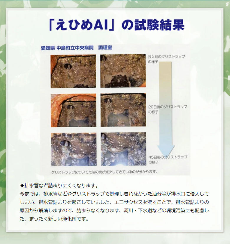 株式会社ヴェルト えひめAI-1 あいいち