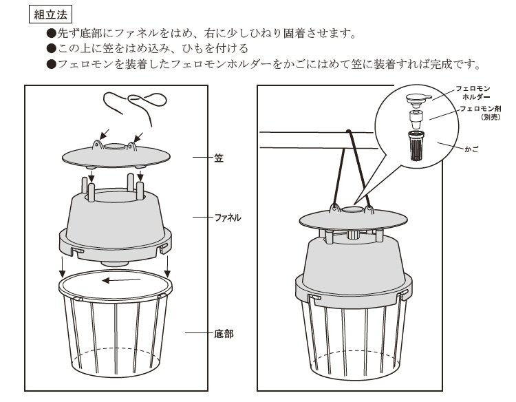 ハスモンヨトウ　誘引捕獲　駆除