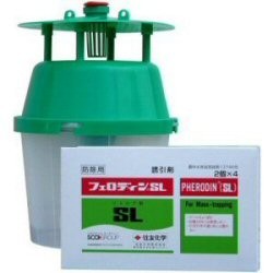 フェネルトラップ1個＋フェロデンＳＬ
