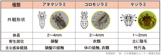 アース　シラミ・ダニ退治スプレー　アース製薬