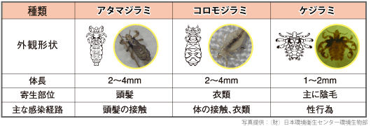 アース製薬 アースシラミとりシャンプー