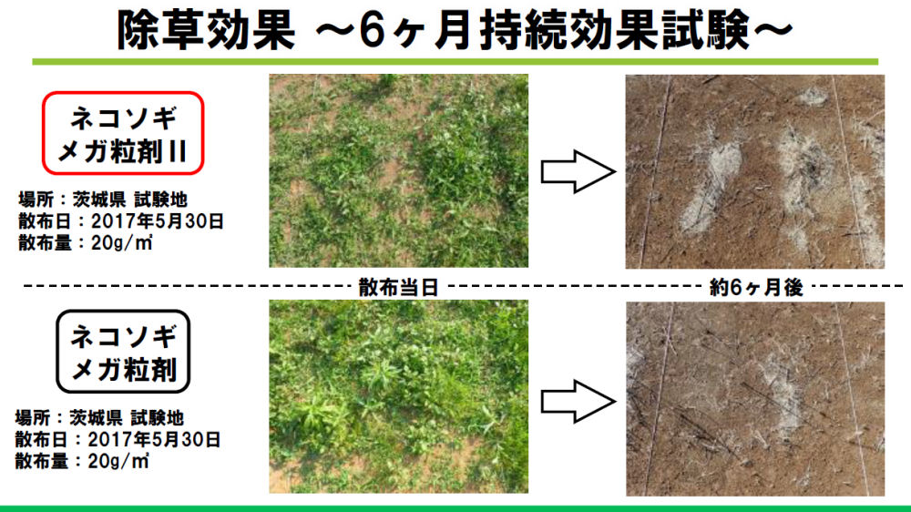 レインボー薬品株式会社 ネコソギメガ粒剤&#x2161;